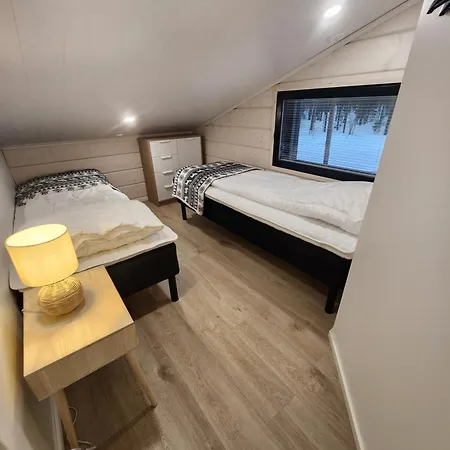 Levin Huvilompolo * 列维