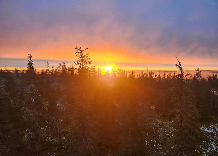 Levin Huvilompolo Dağ evi *